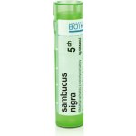 SAMBUCUS NIGRA POR 5CH GRA 4G – Hledejceny.cz