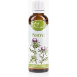 Serafin Pestrec bylinná tinktura 50 ml – Hledejceny.cz