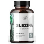 Sibi Slezina komplex houbové extrakty 470 mg 90 kapslí – Hledejceny.cz