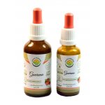 Salvia Paradise Guarana AF tinktura 30 ml – Hledejceny.cz