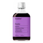 Sirupárna Domácí Švestkový Sirup 100 ml – Sleviste.cz