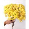 Sempreviva Helichrysum/Imortelka, slaměnka žlutá, svazek 30g