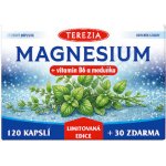 TEREZIA MAGNESIUM + vitamin B6 a meduňka Limitovaná edice 120 + 30 kapslí – Hledejceny.cz