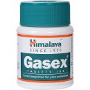 Himalaya Gasex 100 tablet