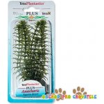 Tetra Anacharis 15 cm – Sleviste.cz