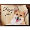 Autovýbava Sport hobby Cedulka Welsh Corgi Pembroke Pozor pes 20 x 15 cm