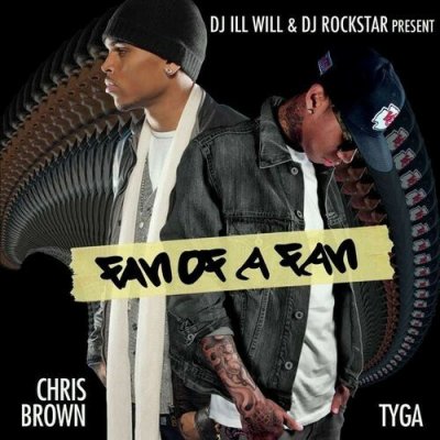 Tyga & Chris Brown - Fan Of A Fan CD – Hledejceny.cz