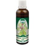 Naděje Ostružiník tinktura z pupenů 50 ml – Hledejceny.cz