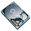 Seagate Barracuda 7200.10 T-Lite 80GB, 3,5", 7200rpm, SATAII, ST380815AS