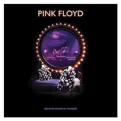 Pink Floyd: Delicate Sound Of Thunder - 2 - Floyd Pink CD – Hledejceny.cz