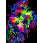 Norimpex Diamantové malování Jorkšírský teriér 30 x 40 cm – Sleviste.cz
