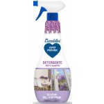 Coccolatevi Glicine Del Giappone čisticí prostředek na sklo a tvrdé povrchy 750 ml – Zboží Dáma