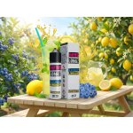 Infamous LongZ Shake & Vape Blueberry Lemonade 10 ml – Hledejceny.cz