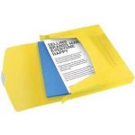 Esselte Box na spisy s gumičkou Jumbo Vivida, Vivida žlutá, 40 mm, A4, PP – Hledejceny.cz