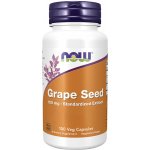 Now Foods Standardizovaný extrakt z hroznových semínek 100 mg 100 rostlinných kapslí – Hledejceny.cz