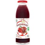 Georgian Nectar Granátové jablko 100% džus 250 ml – Zboží Dáma