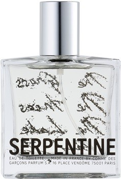 comme des garcons serpentine