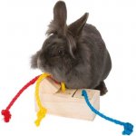 Trixie Hra pro králíky kostka na pamlsky 16 x 6 x 7 cm – Hledejceny.cz