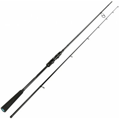 Sportex Black Arrow G4 Spin 2 díly 240cm 20g – Hledejceny.cz