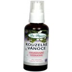Dr. Popov osvěžovač vzduchu kouzelné vánoce 50 ml – Sleviste.cz