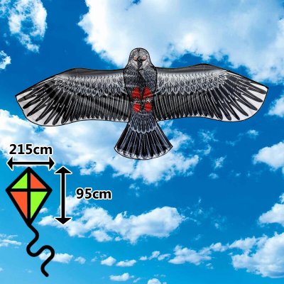 D&P Drak Jestřáb černý – Hledejceny.cz
