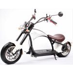 ECO HIGHWAY FUTURE CHOPPER 2000W – Zboží Mobilmania