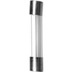 ESKA 632.610 Pojistka: tavná; kulatý,sklěněná; 200mA; 250VAC; rychlá; 6,3x32mm – Hledejceny.cz