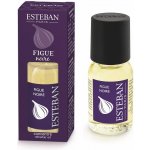 Esteban aroma olej Fíky 15 ml – Hledejceny.cz