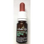 4betterlife tinktura Ligustrin 10 ml – Hledejceny.cz