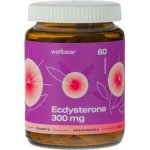 Wellbear Ecdysterone 300 mg 60 kapslí – Hledejceny.cz