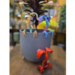 Větvík Měňavec, každý je jinak barevný, mystery – Hledejceny.cz