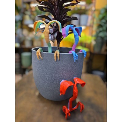 Větvík Měňavec, každý je jinak barevný, mystery – Hledejceny.cz