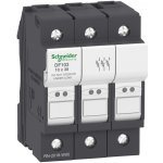SCHNEIDER ELECTRIC SCHNEIDER Odpínač VARIO DF103 3P 32A pojistkový DF103 – Hledejceny.cz