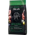 Fitmin Dog For Life Lamb & Rice 2 x 12 kg – Hledejceny.cz