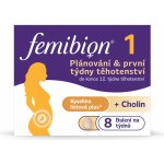 Femibion 1 Plánování a první týdny těhotenství 56 tablet – Zboží Dáma