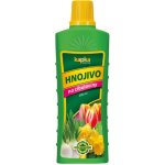 Forestina KAPKA Kapalné hnojivo na cibuloviny 0,5 l – Zbozi.Blesk.cz