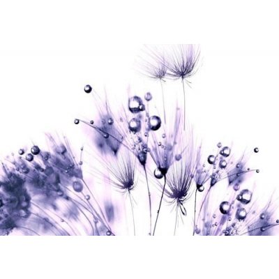 Impol Trade 124VE vliesová fototapeta fialové rostliny s rosou 310 cm x 219 cm – Zboží Mobilmania
