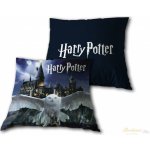 Jerry Fabrics Polštář Harry Potter 246 40x40 – Zboží Mobilmania