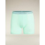 Icebreaker Mens Anatomica boxers – Zboží Dáma