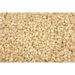 Les Fruits du Paradis Rýže kulatozrnná natural BIO 3000 g – Hledejceny.cz