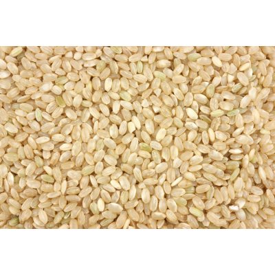 Les Fruits du Paradis Rýže kulatozrnná natural BIO 3000 g – Hledejceny.cz