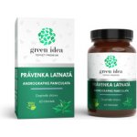 Green idea PRÁVENKA LATNATÁ 60 kapslí – Hledejceny.cz