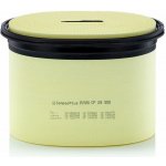 Vzduchový filtr MANN-FILTER CP 29 550 – Hledejceny.cz
