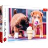 Puzzle Trefl 37272 Čas na zmrzlinu 500 dílků