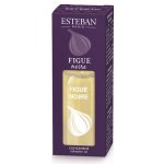 Esteban aroma olej Fíky 15 ml – Hledejceny.cz