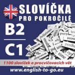Angličtina – Slovíčka pro pokročilé B2/C1 – Hledejceny.cz