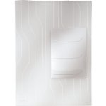 LEITZ Závěsné desky čirá A4 200 – Hledejceny.cz