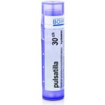 PULSATILLA POR 30CH GRA 4G – Hledejceny.cz