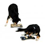 Trixie Dog Activity GaME BONE 31 x 20 cm – Hledejceny.cz