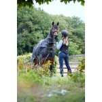 Equipage Chránič páteře Montel pro dospělé černý – Sleviste.cz